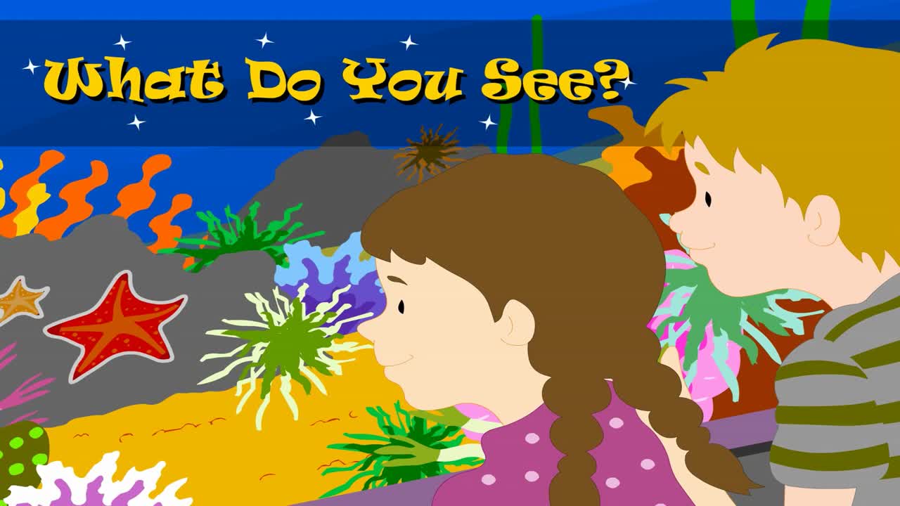 lv01-039 What Do You See