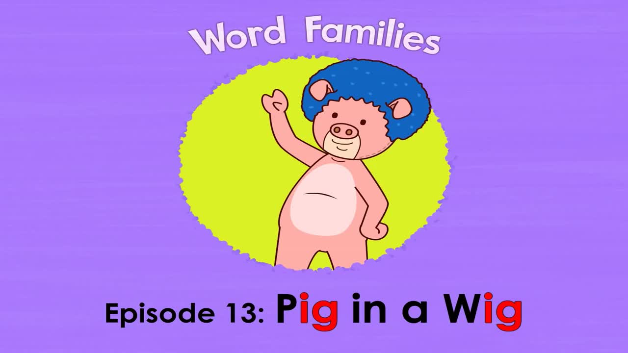 Word Families 13  Pig in a Wig   Level 1   By Little Fox