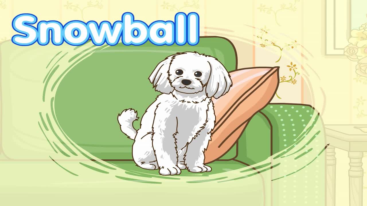 lv01-008 Snowball